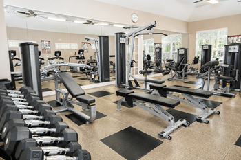 Fitness & cardio studio with free weights